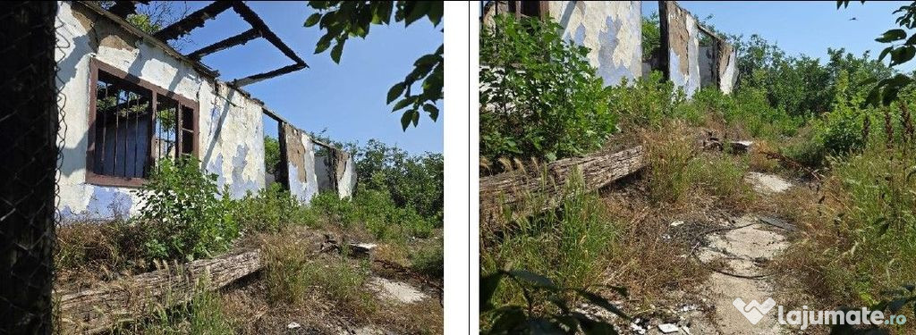 Casa si teren Cucuruzu, ID: R2609648