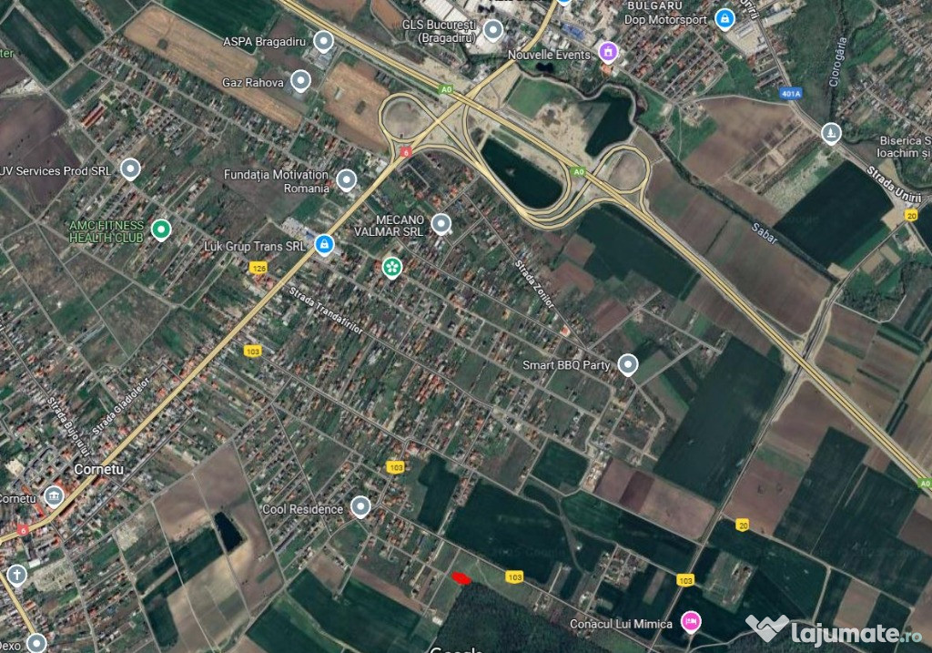 Teren 2000mp Magurele Ilfov la padure langa A0