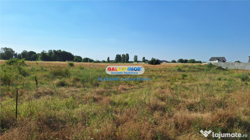 Teren de Berceni - Mamina, langa lac