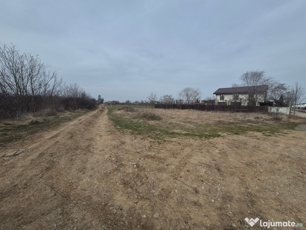 Teren intravilan ieftin Balotesti, 1050 mp, 23000 euro