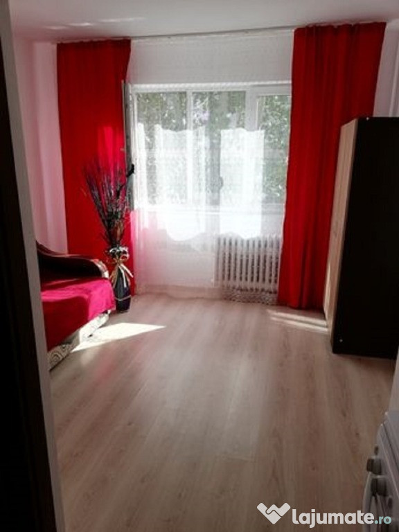 Pe termen scurt garsoniera Alexandru cel bun