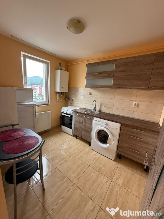 Apartament 1 camera, zona Cetatii
