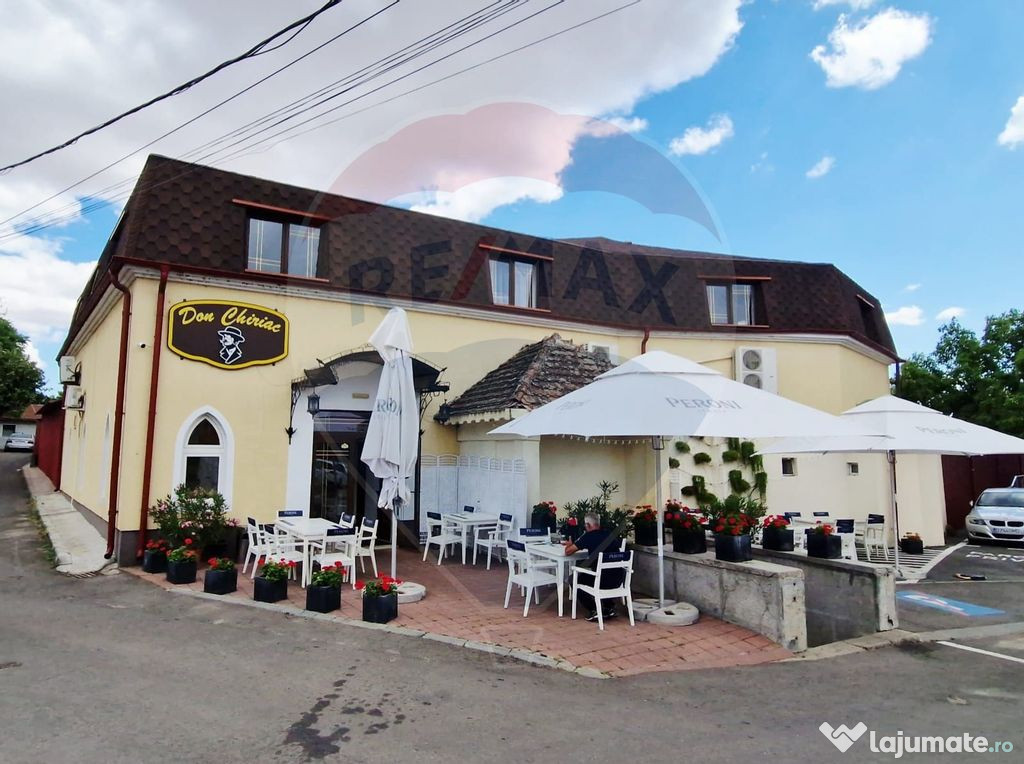 AFACERE DE VANZARE - RESTAURANTUL DON CHIRIAC