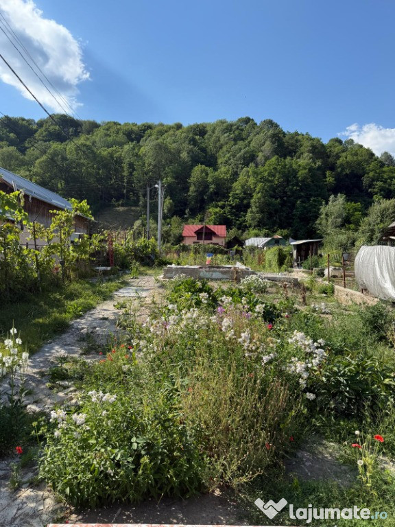Teren ultracentral de vanzare in Bezdead – locatie excelenta