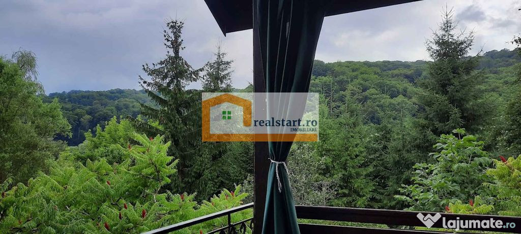 Centru Evenimente, Afacere la cheie, Restaurant cu MiniPe...