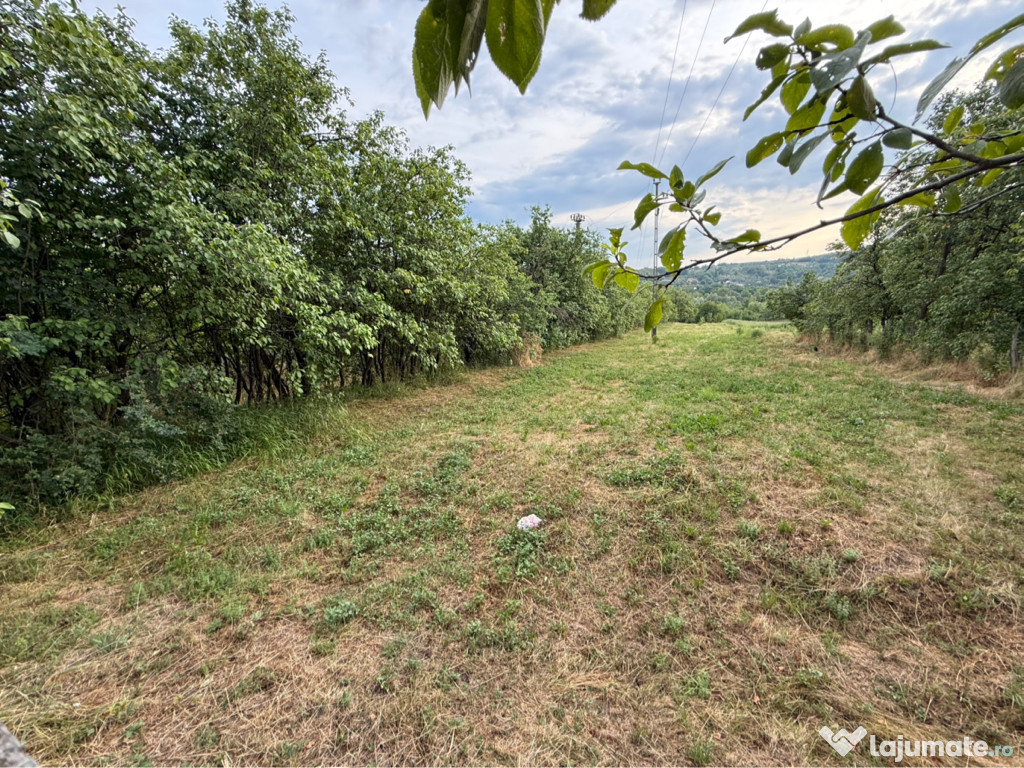 Teren intravilan 3600 m² – Drajna, Prahova