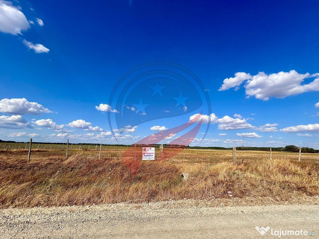 Teren 30.500 mp de vanzare in Livezi, Dolj