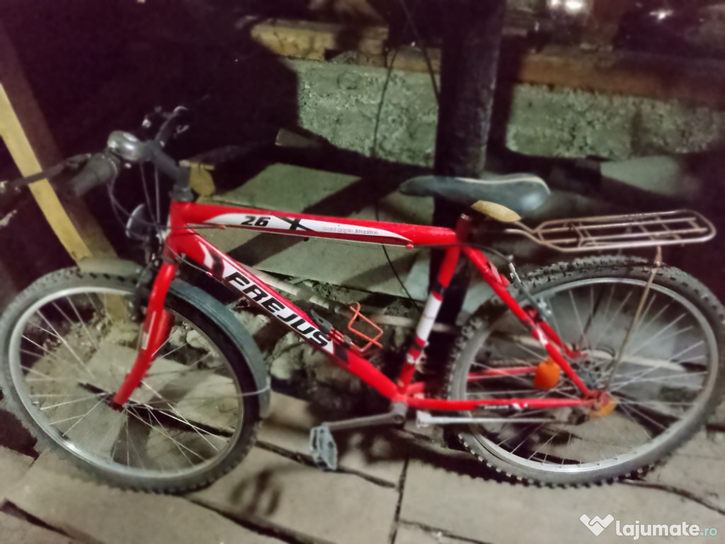 Bicicleta adulti