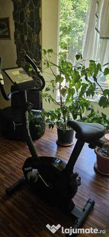 Bicicleta fitness