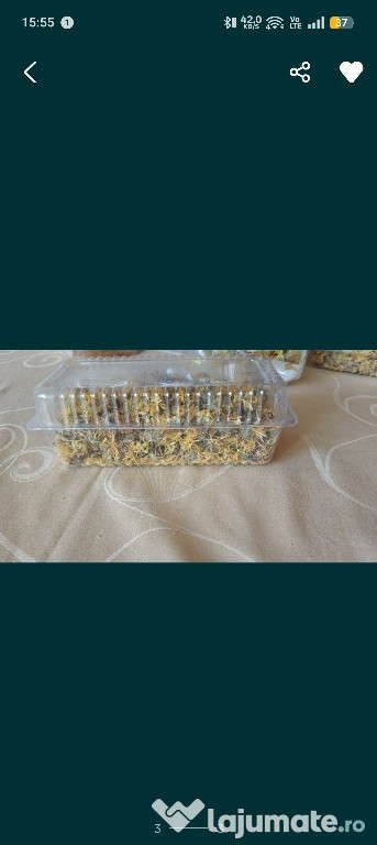 Vând galbenele pentru ceai