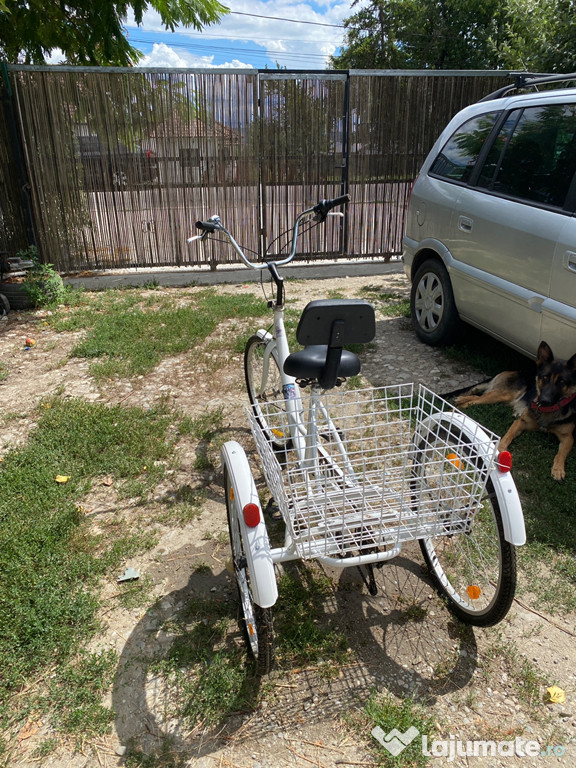 Tricicletă seniori