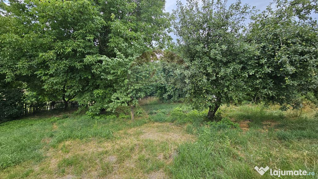 Teren intravilan 2,036mp Pădureni-Șendriceni, Botoșani