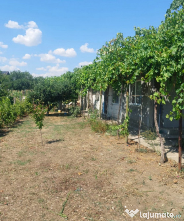 Casă situată în zona Cobadin