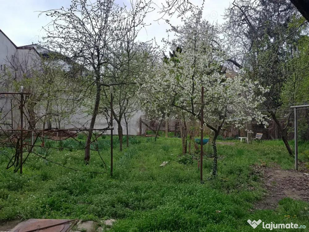 Apartament 1 camera Balcescu