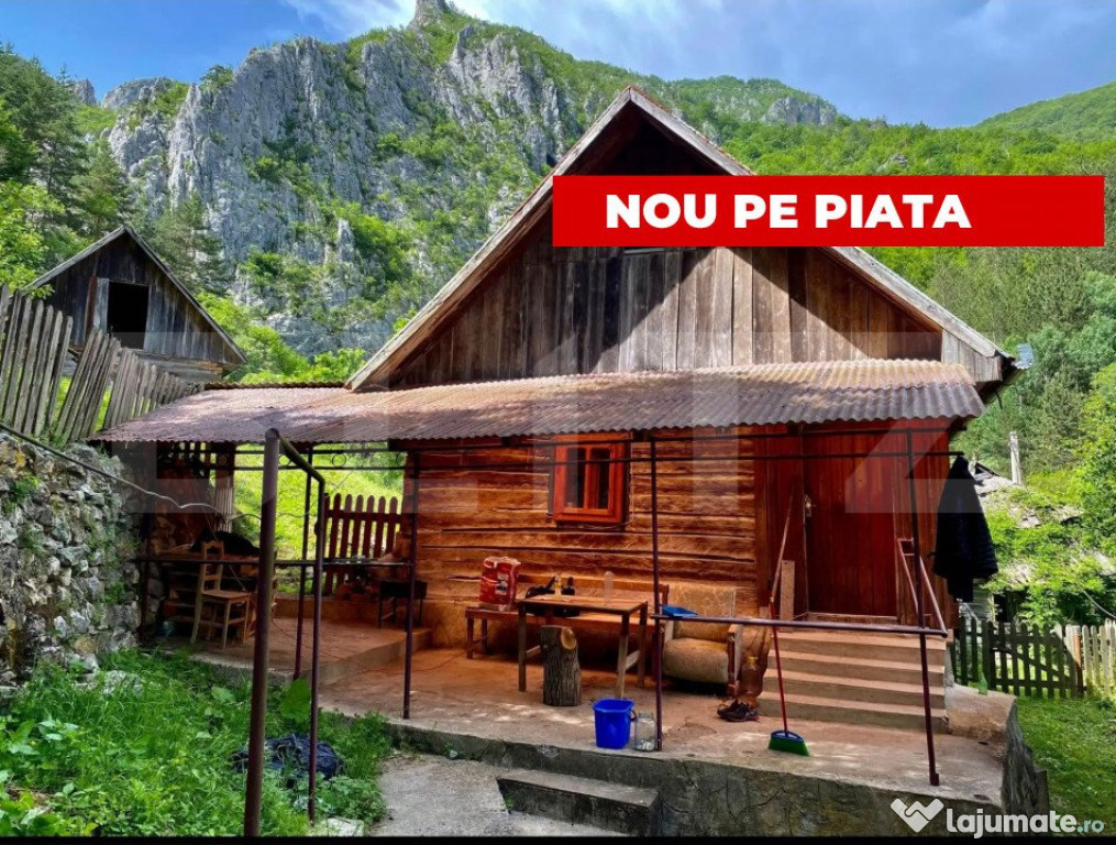 Casa de vacanta,3300 mp teren,Intregalde