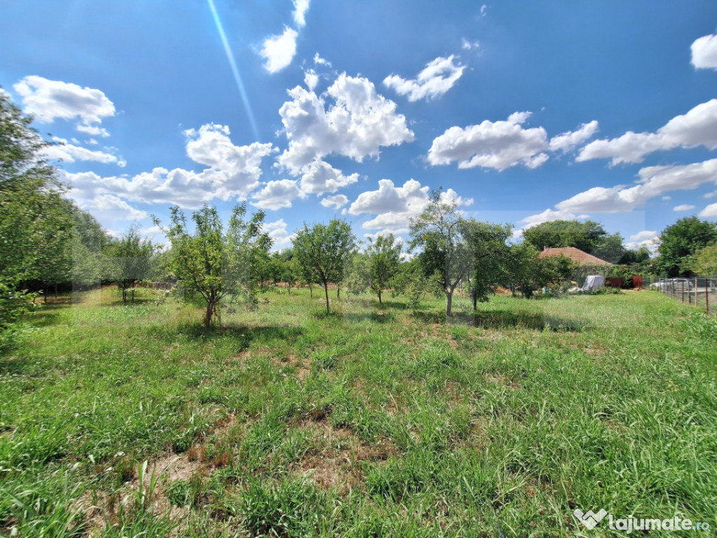 Casa cu teren intravilan, 4600 mp, investiitii/dezvoltare!