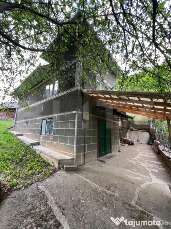 Casa 100 mp utili 4 camere 1,6 ha teren aproape de Trans Apu