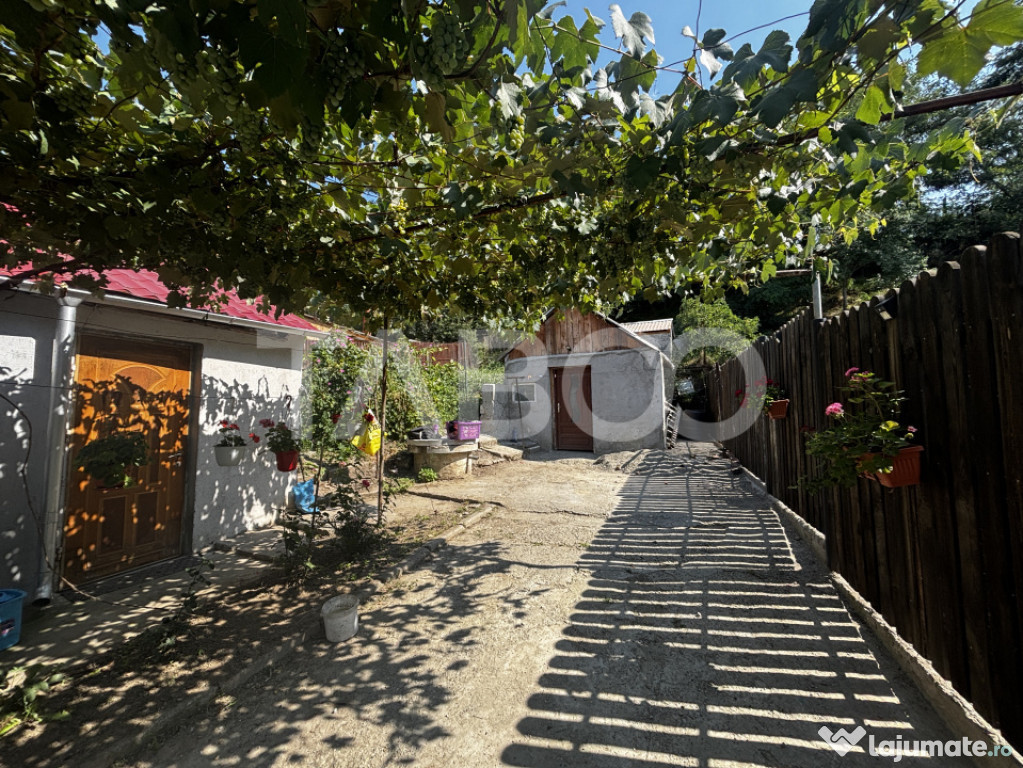Casa individuala de vanzare Sura Mare cu teren de 310 mp Sib