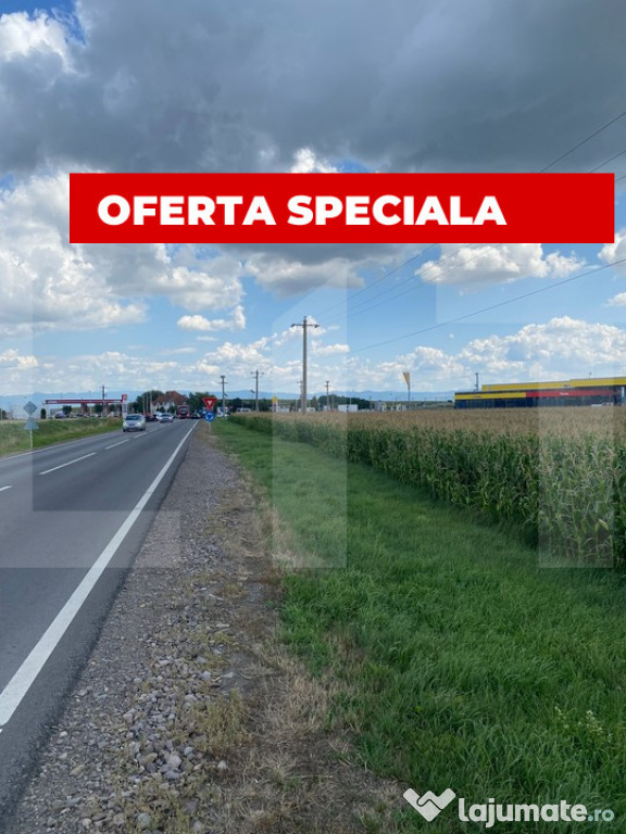 Oportunitate – teren 1HA, front 191 m, Reci, nod de tranzi