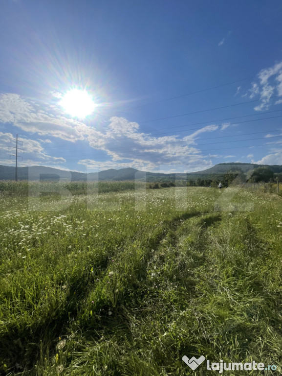 Teren intravilan Viișoara – ideal pentru casă sau invest