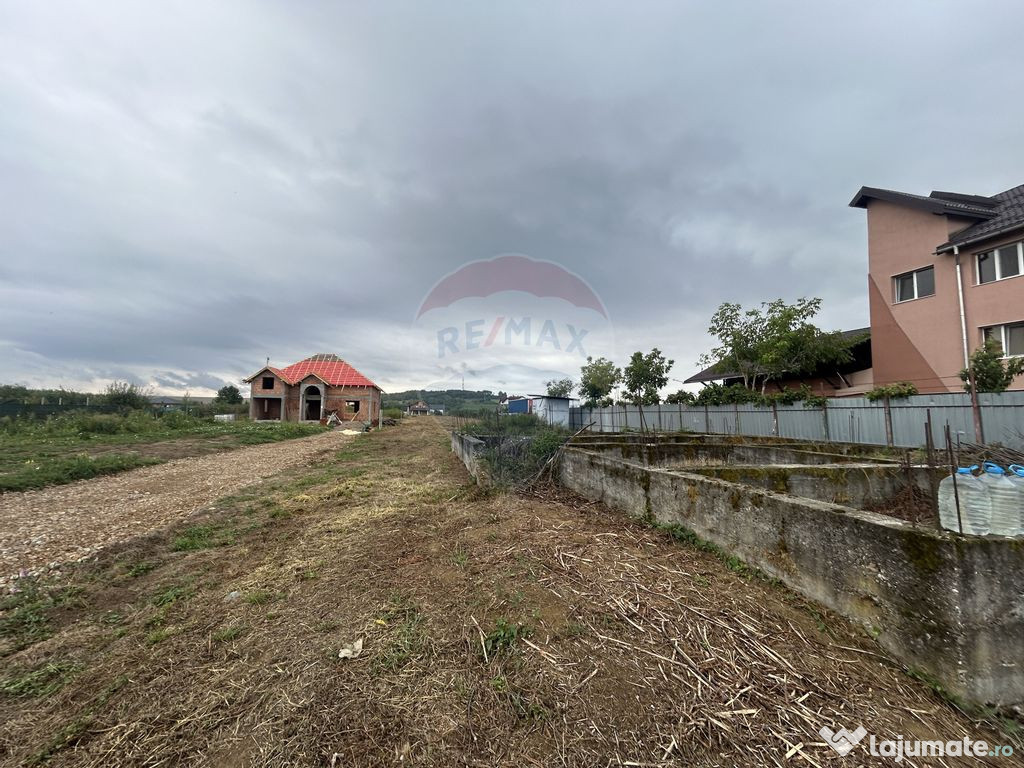 Teren 4,280mp Lapusel / Strada Primaverii