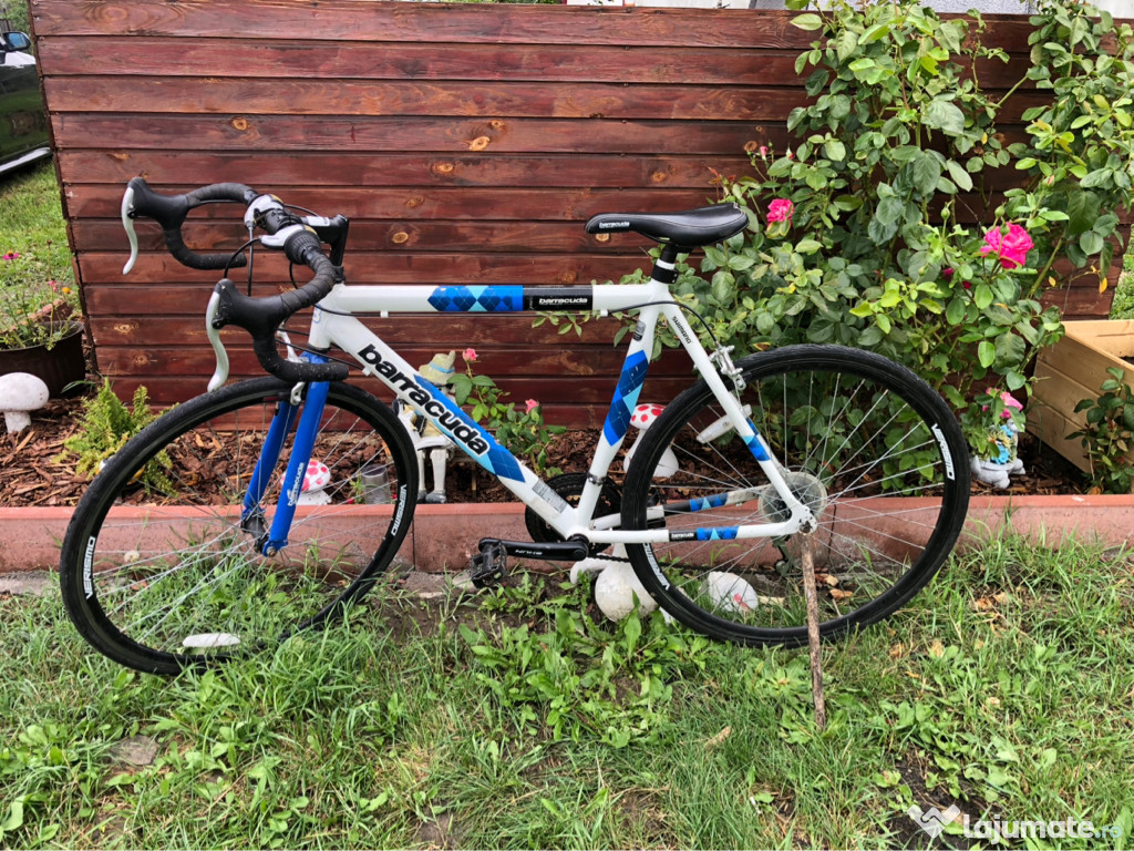 Bicicleta cursirea Barracuda L