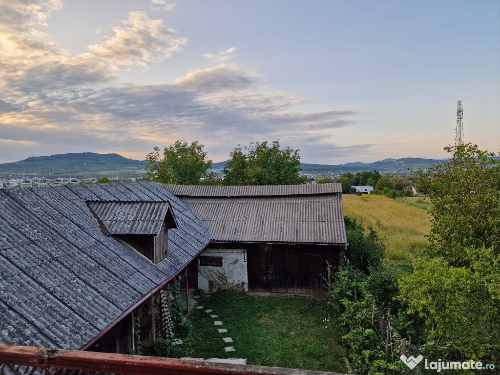 Anexa de vinzare