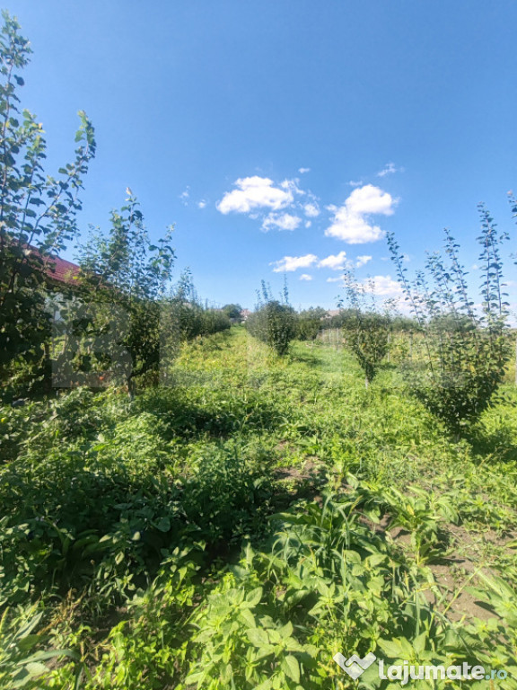 Căsuță tip foișor, 30mp, pe un teren de3.000 mp, cu vede