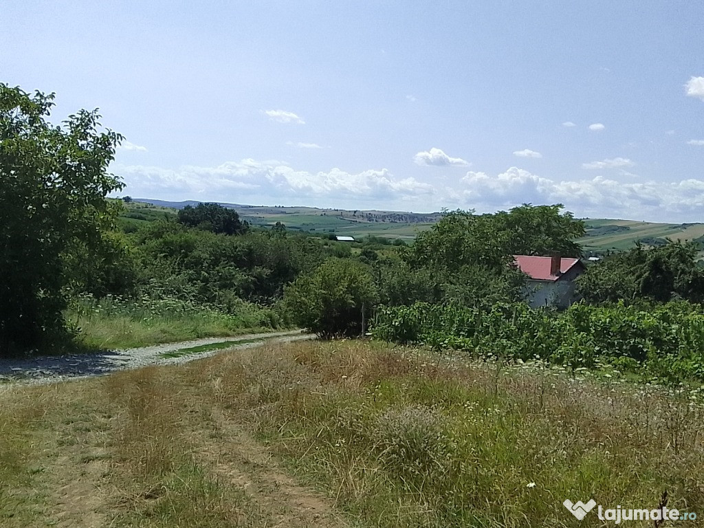 Casuta de vacanta langa baile Tasnad Satu Mare teren 2400mp