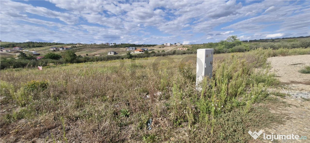 RECO Teren intravilan in Saldabagiu de Munte