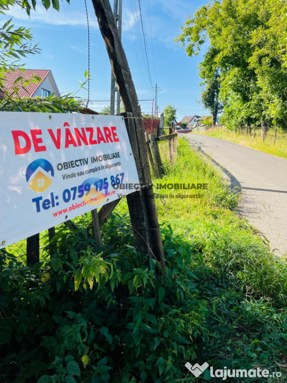 Teren de vanzare - 2510 mp - Borlesti