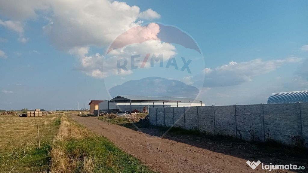 Teren extravilan cu hala construita