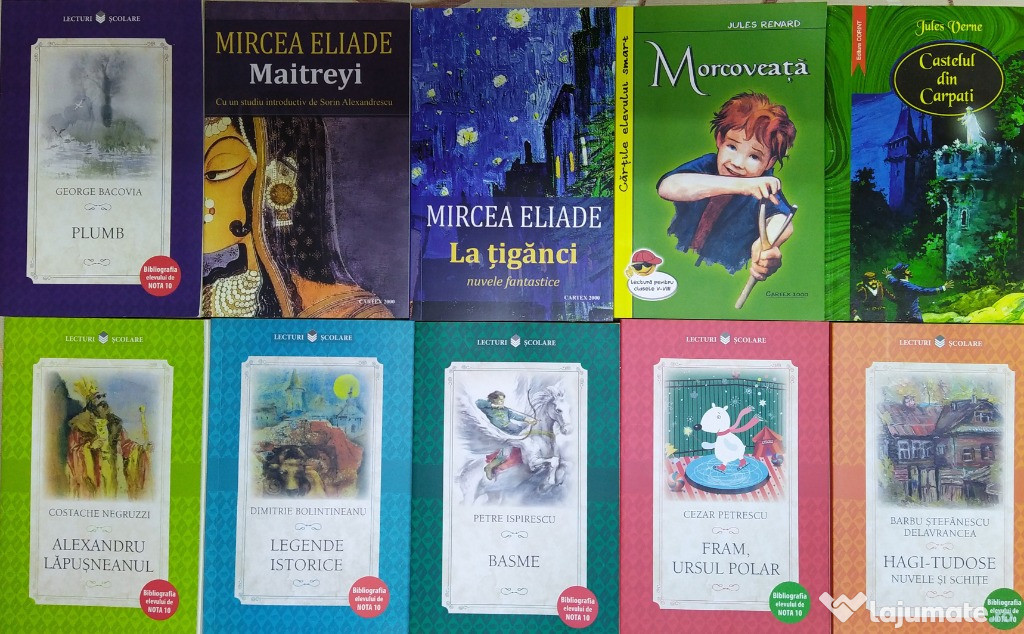 Cărți literatura gimnaziu si liceu