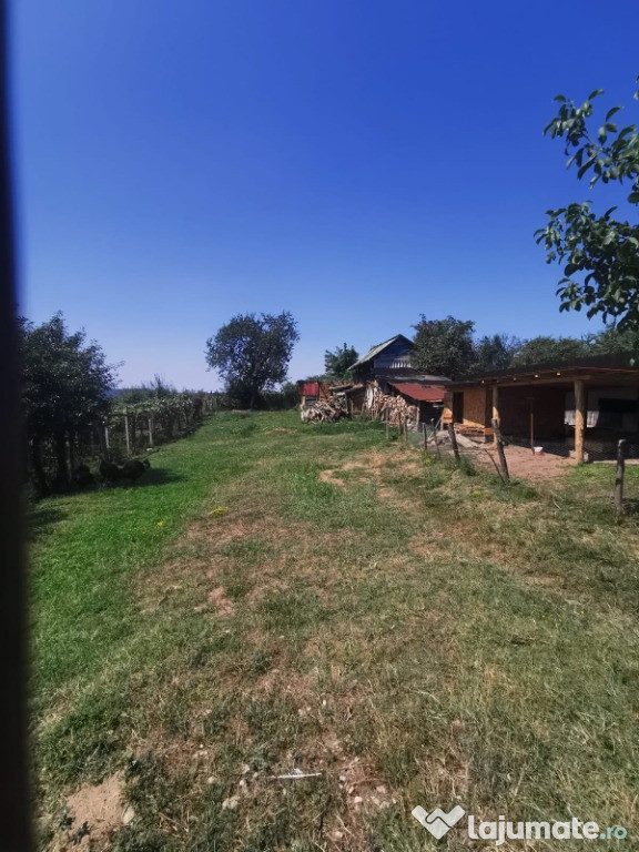 Vand teren intravilan+ extravilan Alunu Valcea