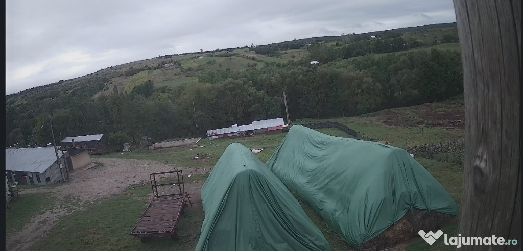 Ferma de vanzare judet Botosani