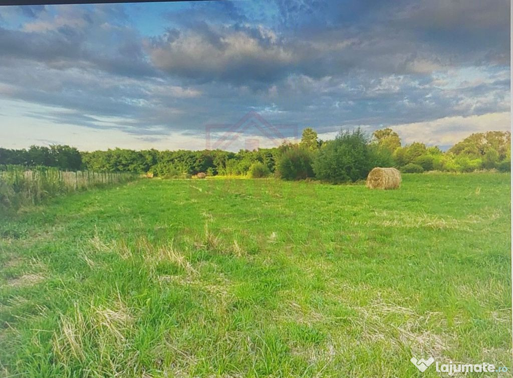 TEREN INTRAVILAN CU PUZ\ 704 MP\CARANSEBEȘ\ ZONA TEIUȘ