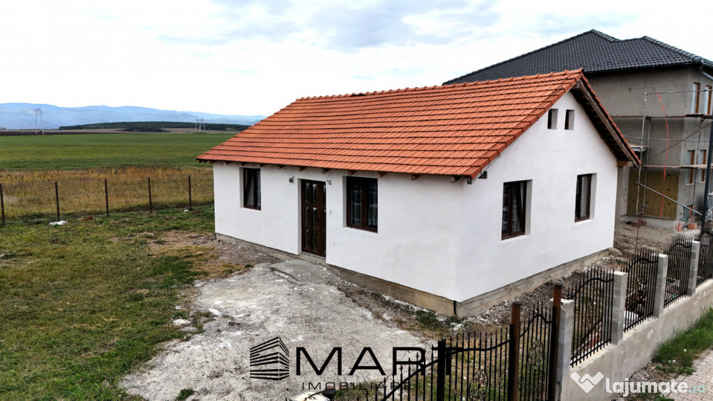 Casa 1 nivel 75mp Cartier Tineretului Sura Mica