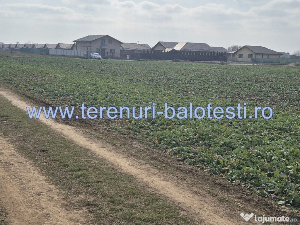 Teren intravilan Balotesti,langa ansamblul Terra si padure, 17000 euro
