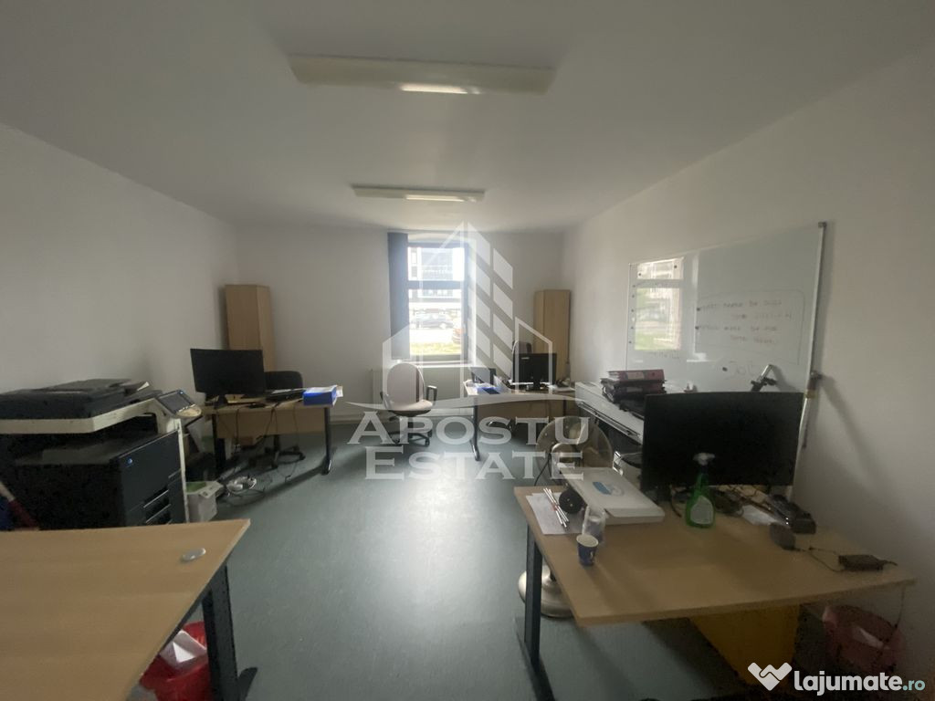 Casa în Dumbrăvița cu Teren de 3039 mp și Front Strad...