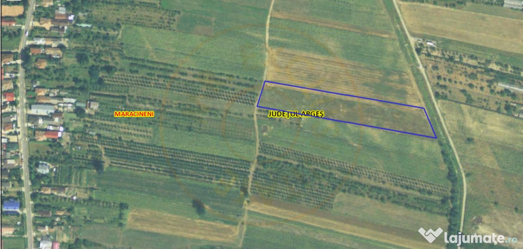 Teren Intravilan Maracineni 7545 mp