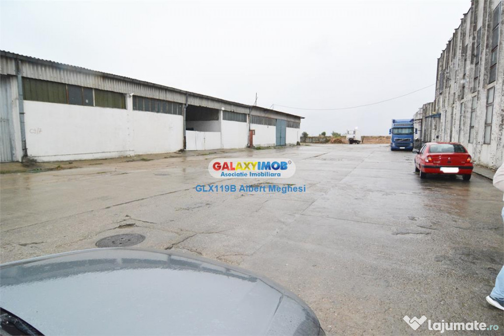 Spatii depozitare suprafete intre 50 mp si 300 mp