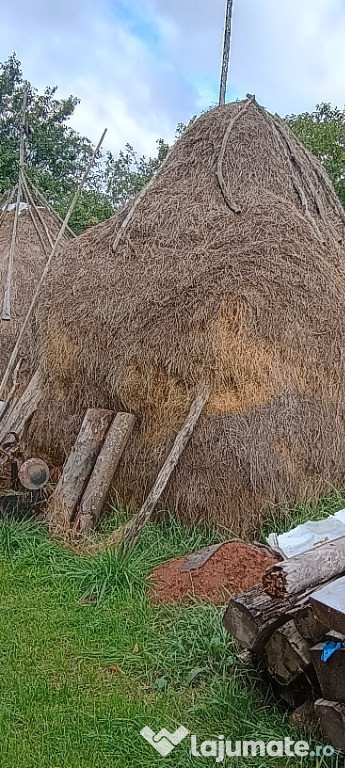 Căpițe de Fân de vânzare