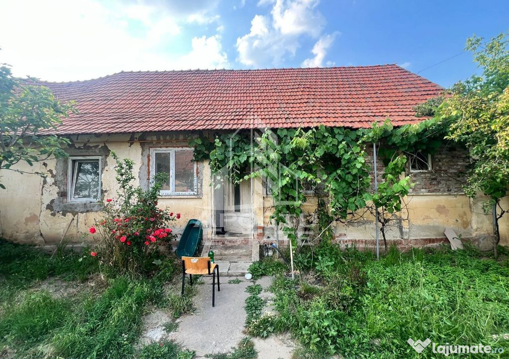 Casa veche in Recas cu teren generos de 1438 mp