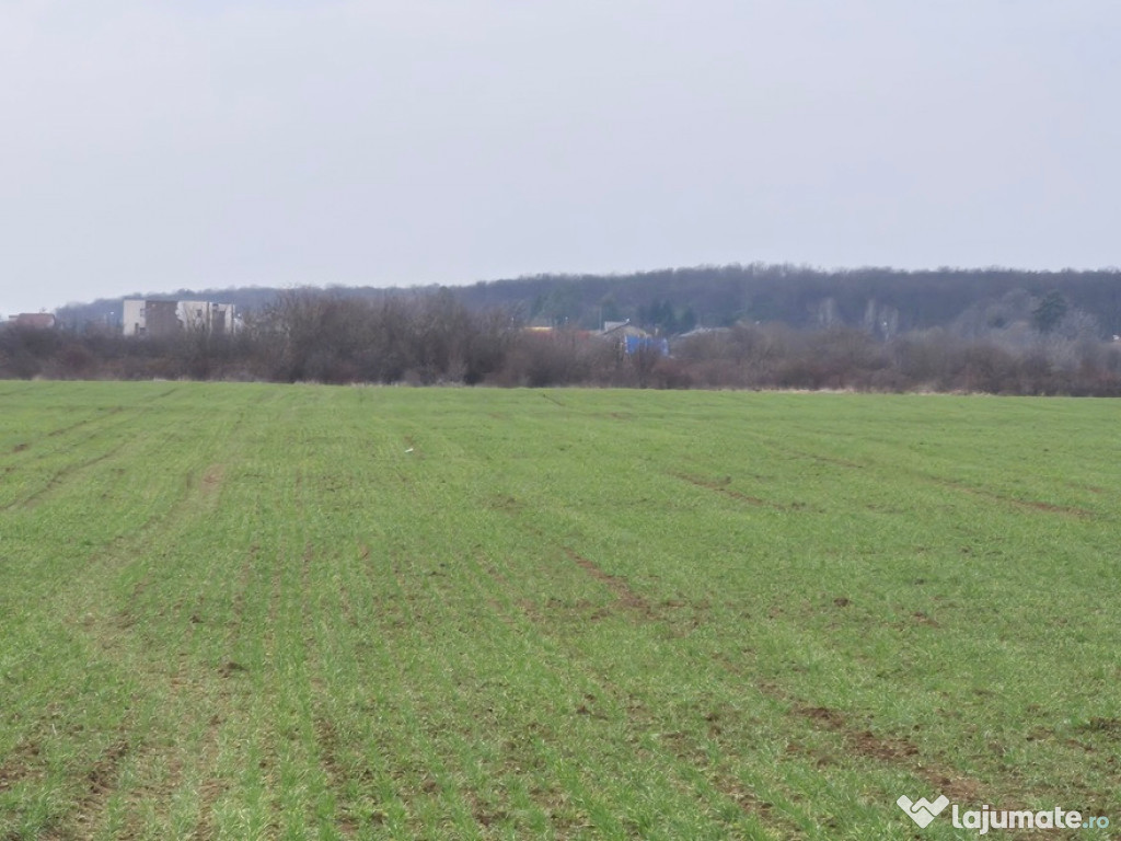 Teren intravilan ieftin Balotesti, 1100 mp, 25000 euro