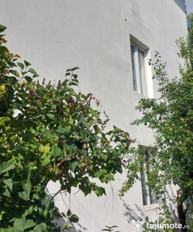 Casa unifamiliala de vanzare zona linistita Sighet