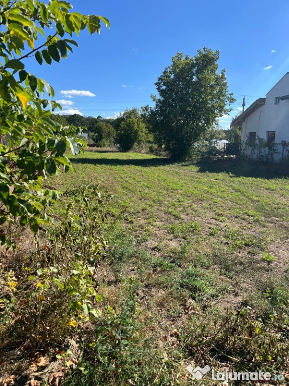 Teren 1000mp Zona Astoria, Snagov