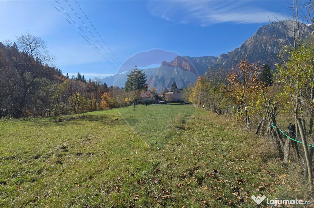 Teren intravilan 1.117 mp cu vedere spectaculoasă spre C...