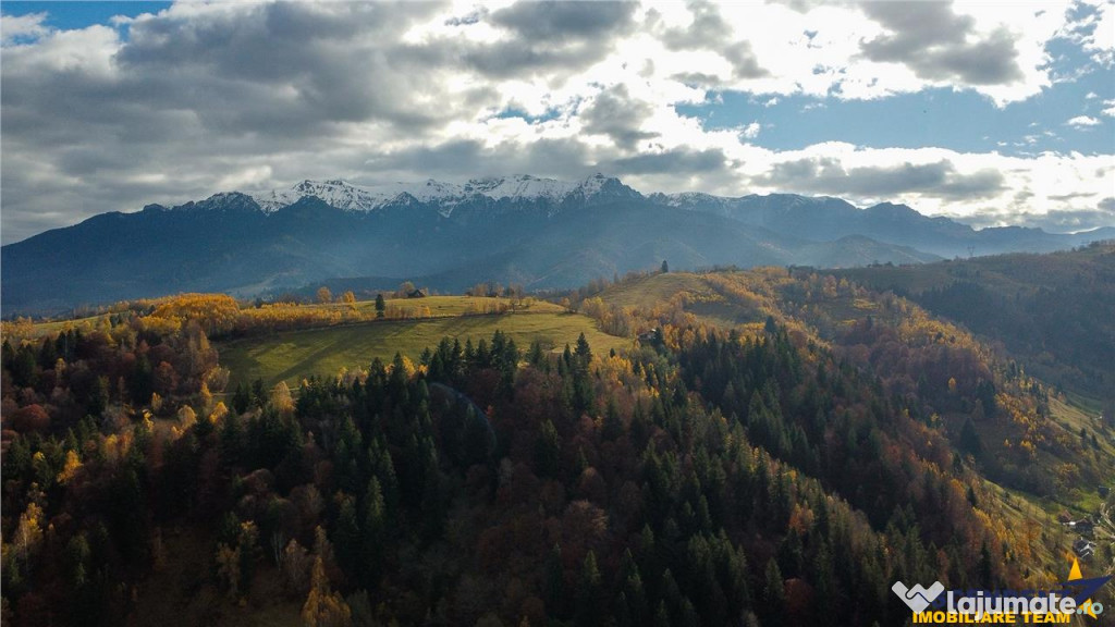 FILM! Teren intravilan spectaculos,1.000 mp,Moieciu,panorama