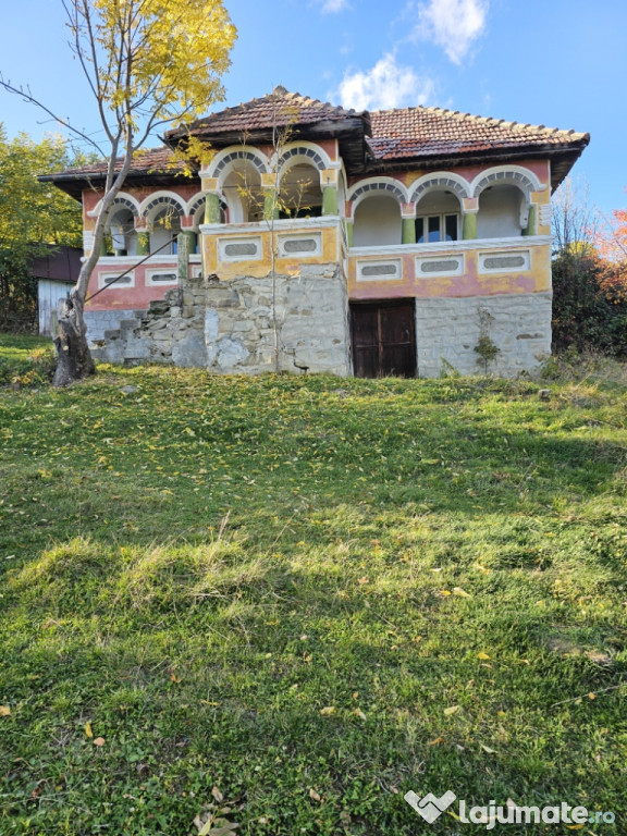 Vând loturi intravilane!