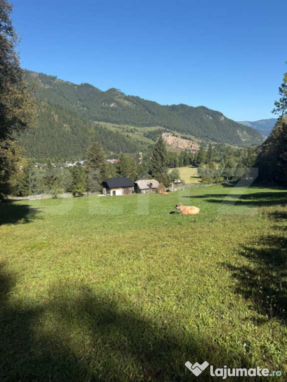 Teren intravilan 9368 mp , front 174 ml , localitatea Pojor?